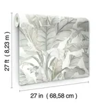 Inspired by Color Banana Leaf wallpaper, color White & Cream, SKU BW3972