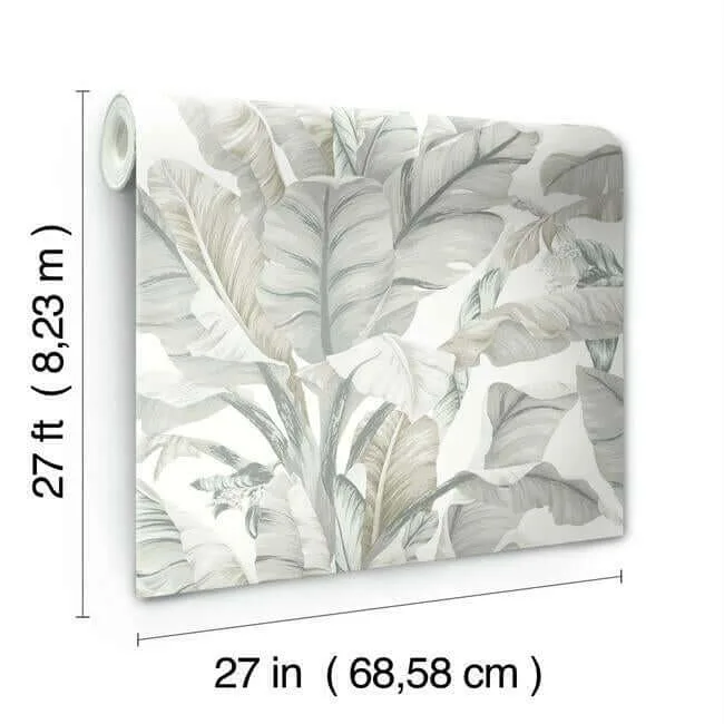 Inspired by Color Banana Leaf wallpaper, color White & Cream, SKU BW3972