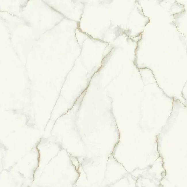 Inspired by Color Gilded Marble wallpaper, color Grey & Gold, SKU MM1757