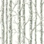 Inspired by Color Paper Birch wallpaper, color White & Grey, SKU BW3901