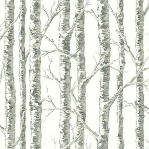 Inspired by Color Paper Birch wallpaper, color White & Grey, SKU BW3901