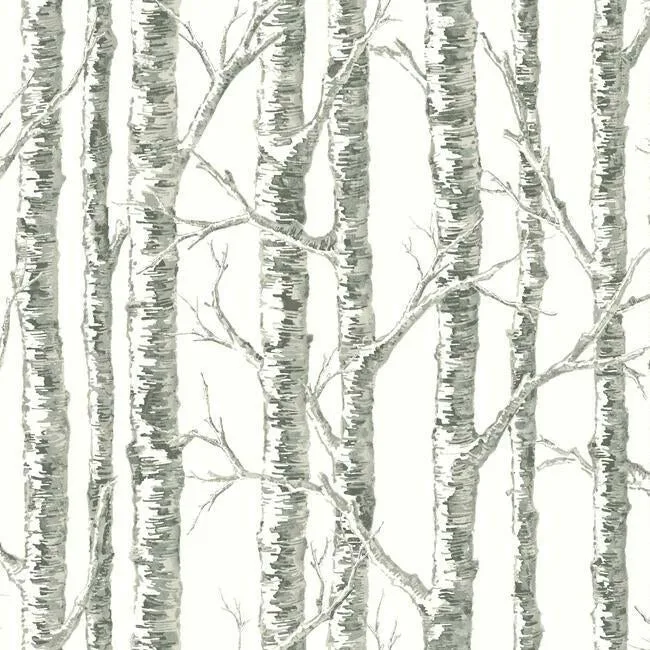 Inspired by Color Paper Birch wallpaper, color White & Grey, SKU BW3901