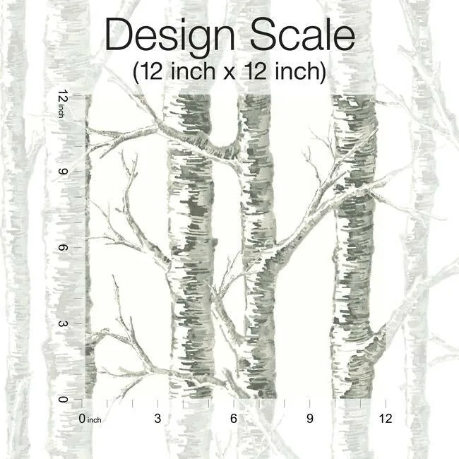 Inspired by Color Paper Birch wallpaper, color White & Grey, SKU BW3901