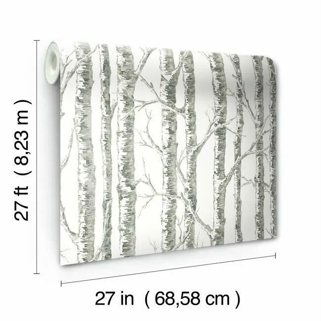 Inspired by Color Paper Birch wallpaper, color White & Grey, SKU BW3901