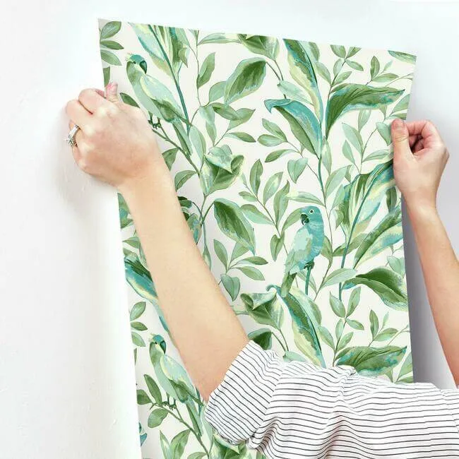 Inspired by Color Tropical Love Birds wallpaper, color White & Aqua, SKU TC2654