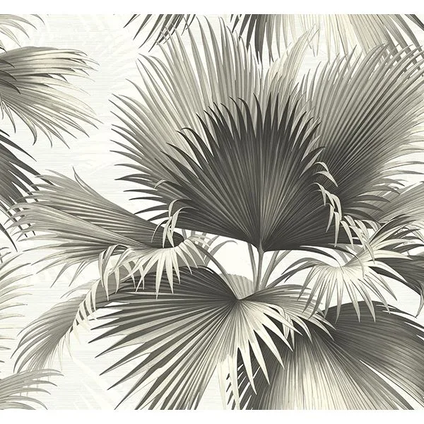 Kenneth James Endless wallpaper, color Black, SKU PS40100