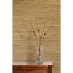 Kenneth James Daria - Beige Wallpaper | Buy Online Kenneth James Daria wallpaper, color Beige, SKU 2622-65622