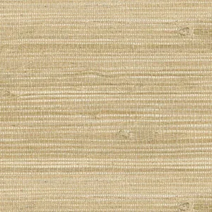 Kenneth James Myoki wallpaper, color Wheat, SKU 2693-54725