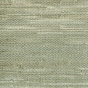 Kenneth James Myogen wallpaper, color Golden Green, SKU 2693-65609