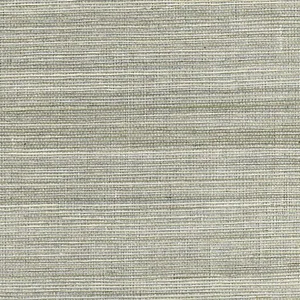 Kenneth James Nathan wallpaper, color Silver, SKU 2732-80010