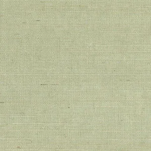 Kenneth James Popun wallpaper, color Light Green, SKU 2693-65416