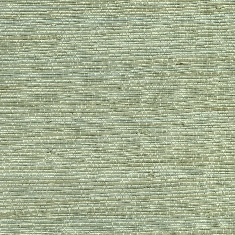 Kenneth James Kimi wallpaper, color Light Green, SKU 63-65609