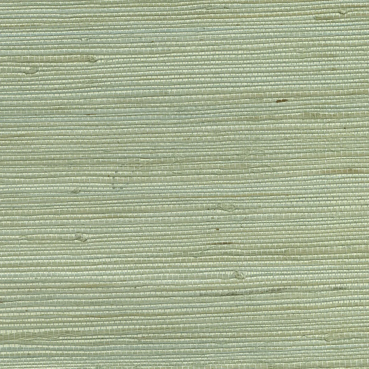 Kenneth James Kimi wallpaper, color Light Green, SKU 63-65609