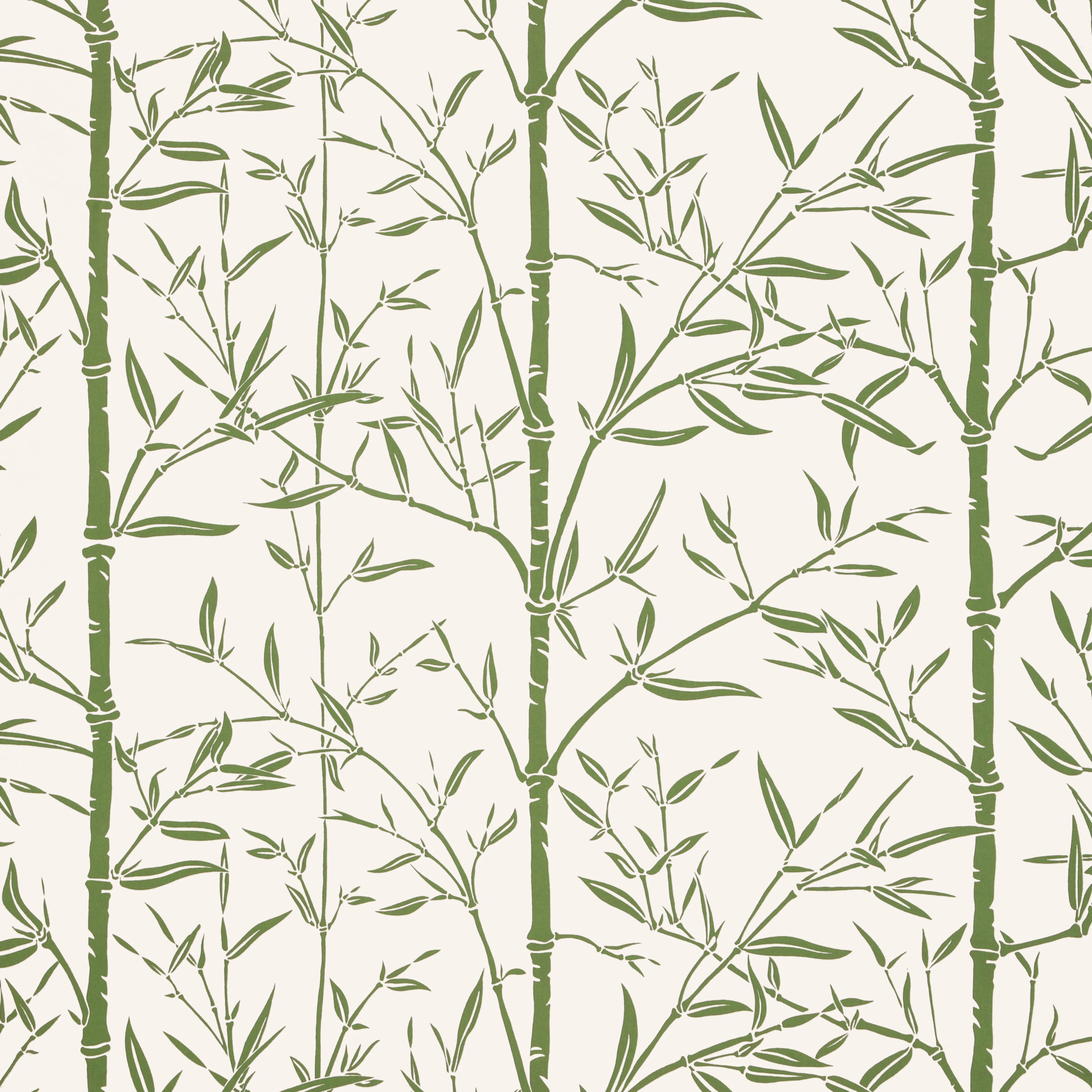 Kravet Couture Bamboo in Cactus (W4258.31.0)