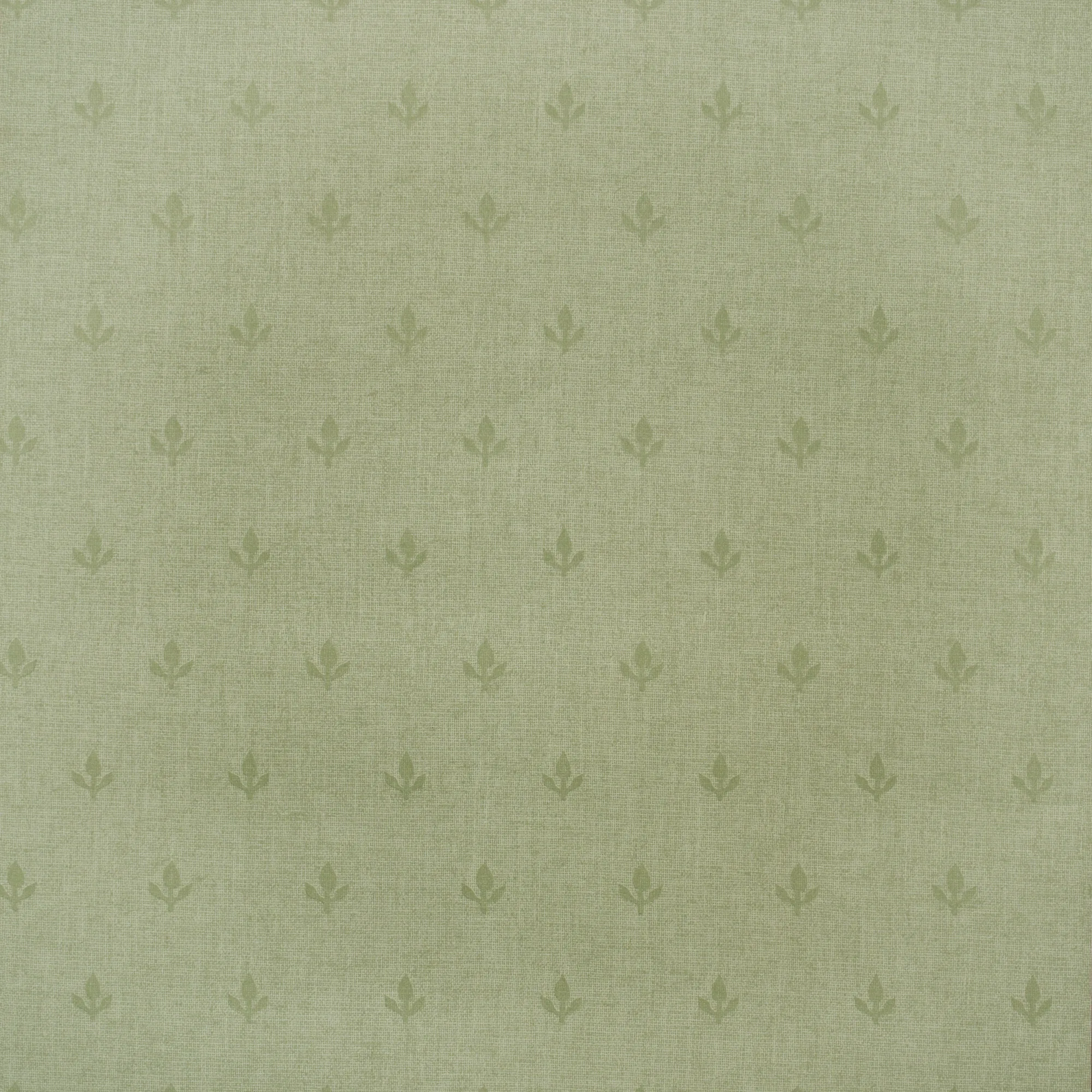 Kravet Couture Crocus in Leaf (AMW10077.3.0)