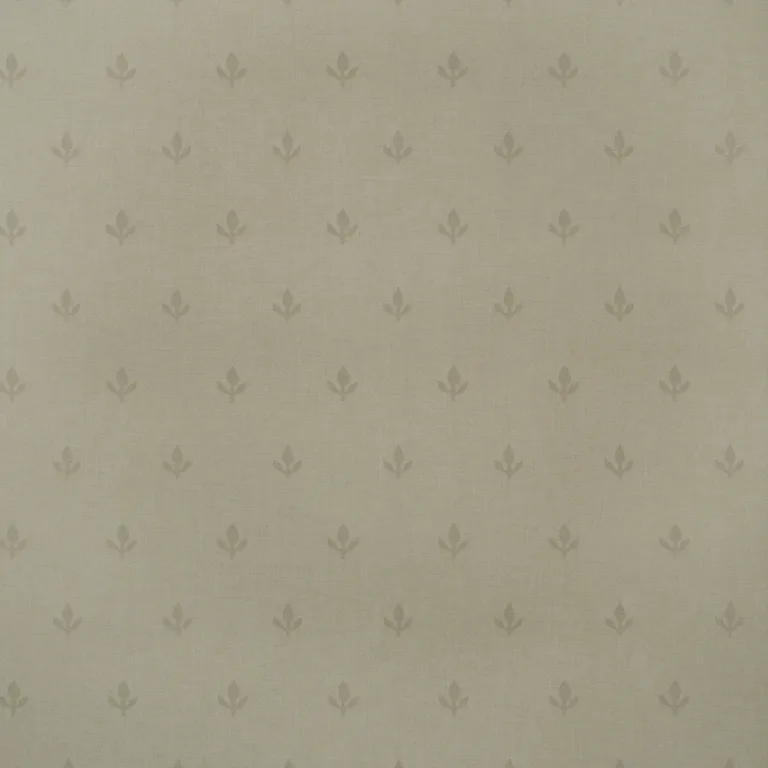 Kravet Couture Crocus in Stone (AMW10077.106.0)