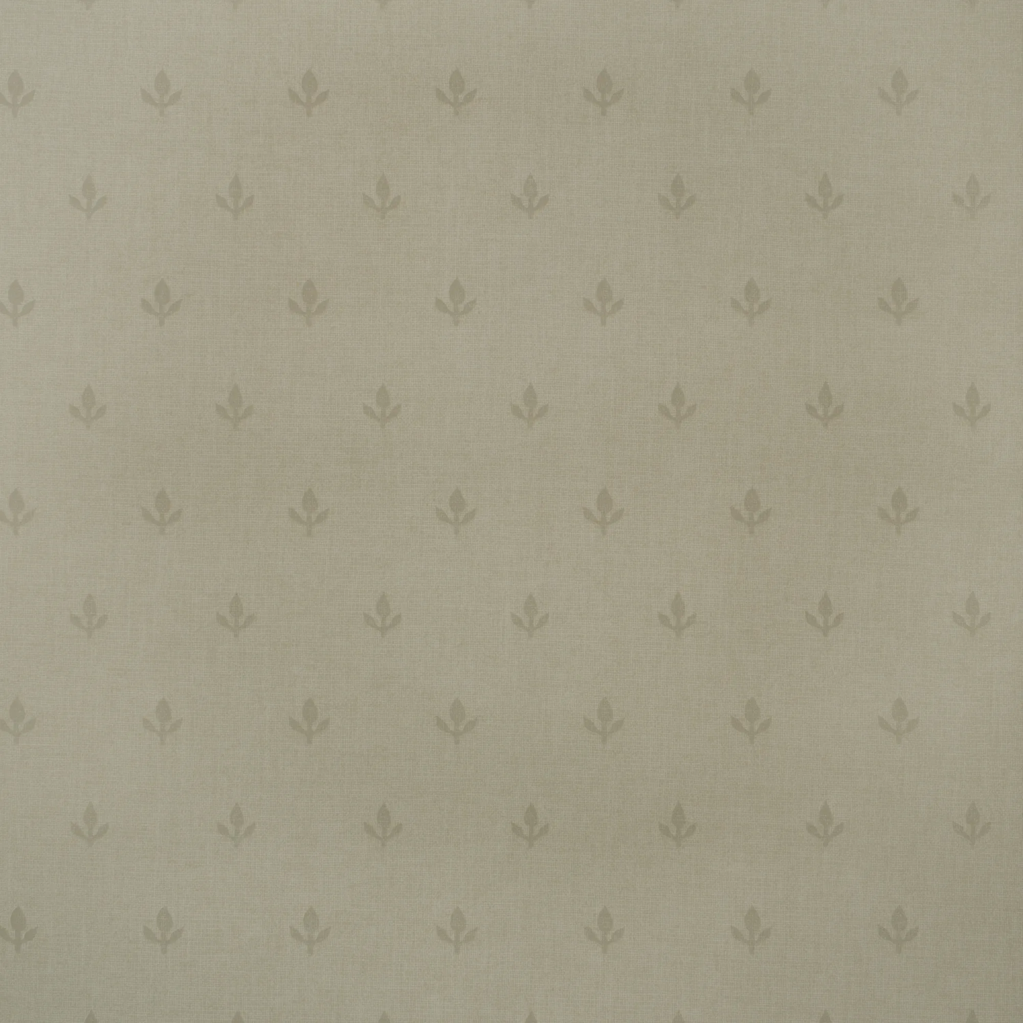 Kravet Couture Crocus in Stone (AMW10077.106.0)
