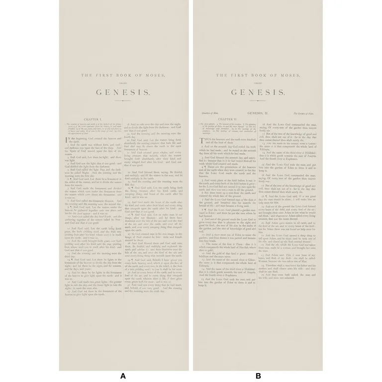 Kravet Couture Genesis in 16 (AMW10066.16.0)