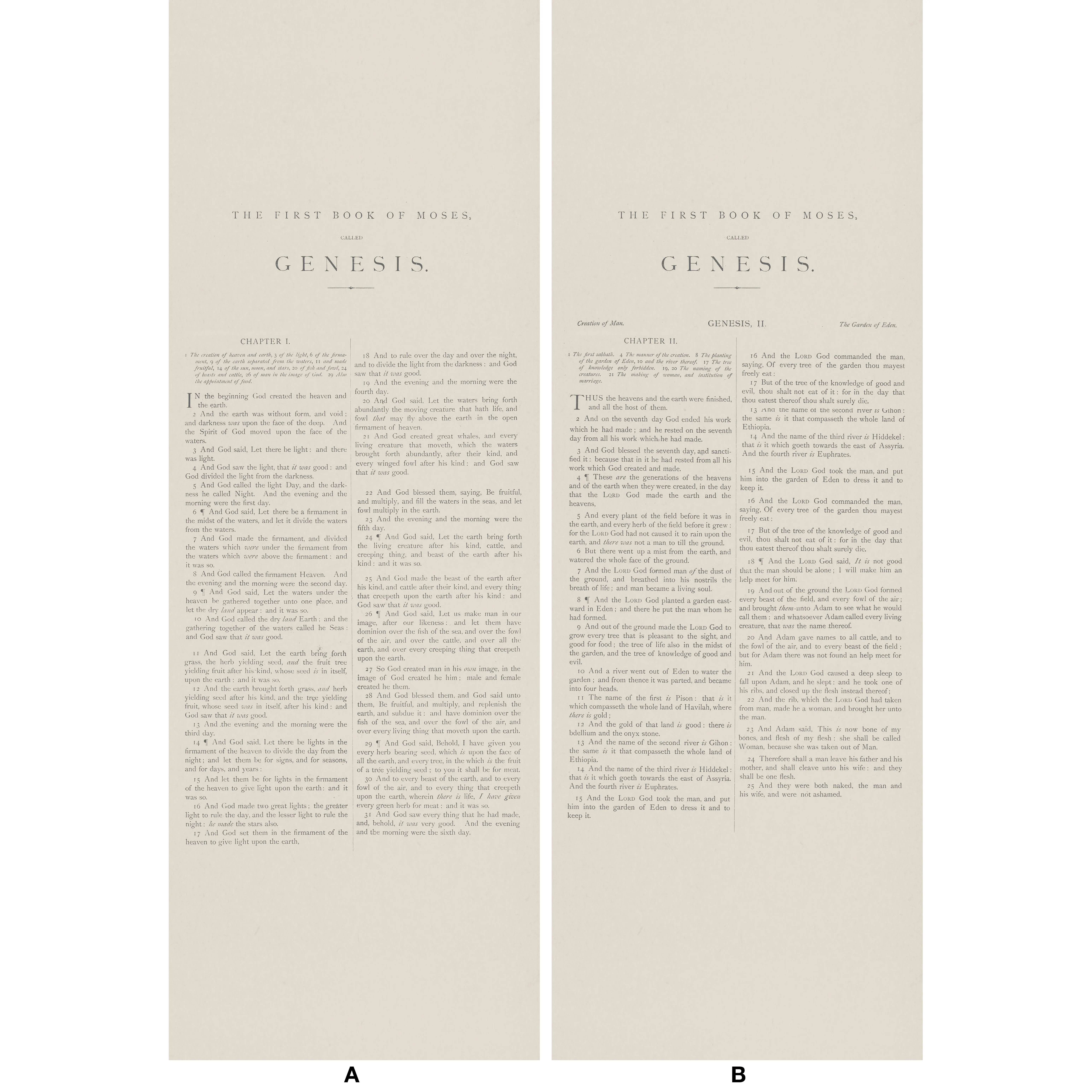 Kravet Couture Genesis in 16 (AMW10066.16.0)