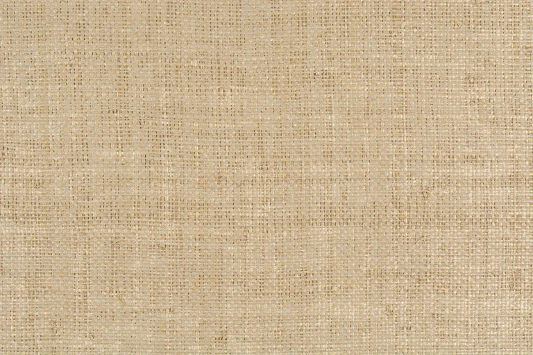 Kravet Couture Gilded Raffia in Raffia (W3267.416.0)