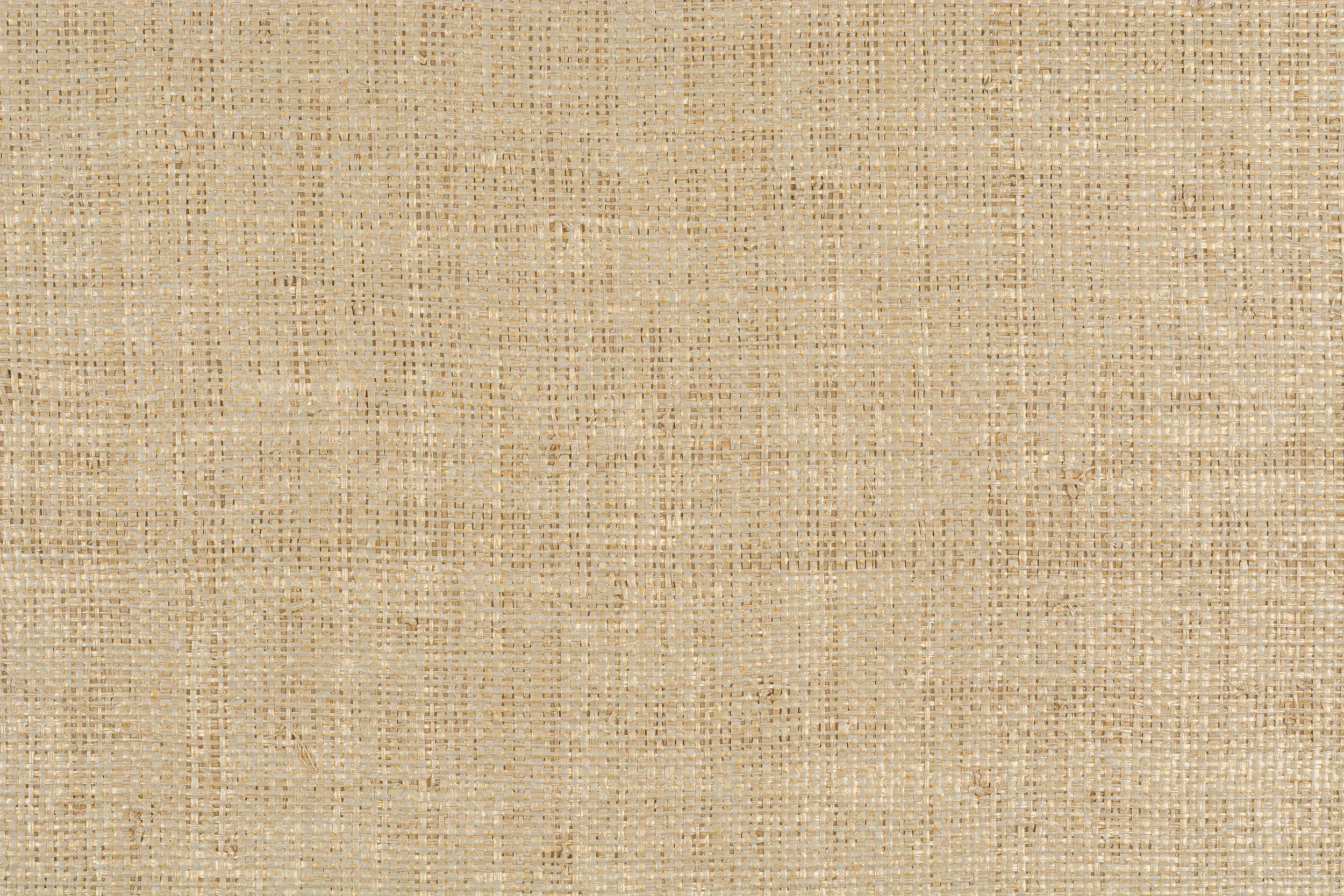 Kravet Couture Gilded Raffia in Raffia (W3267.416.0)