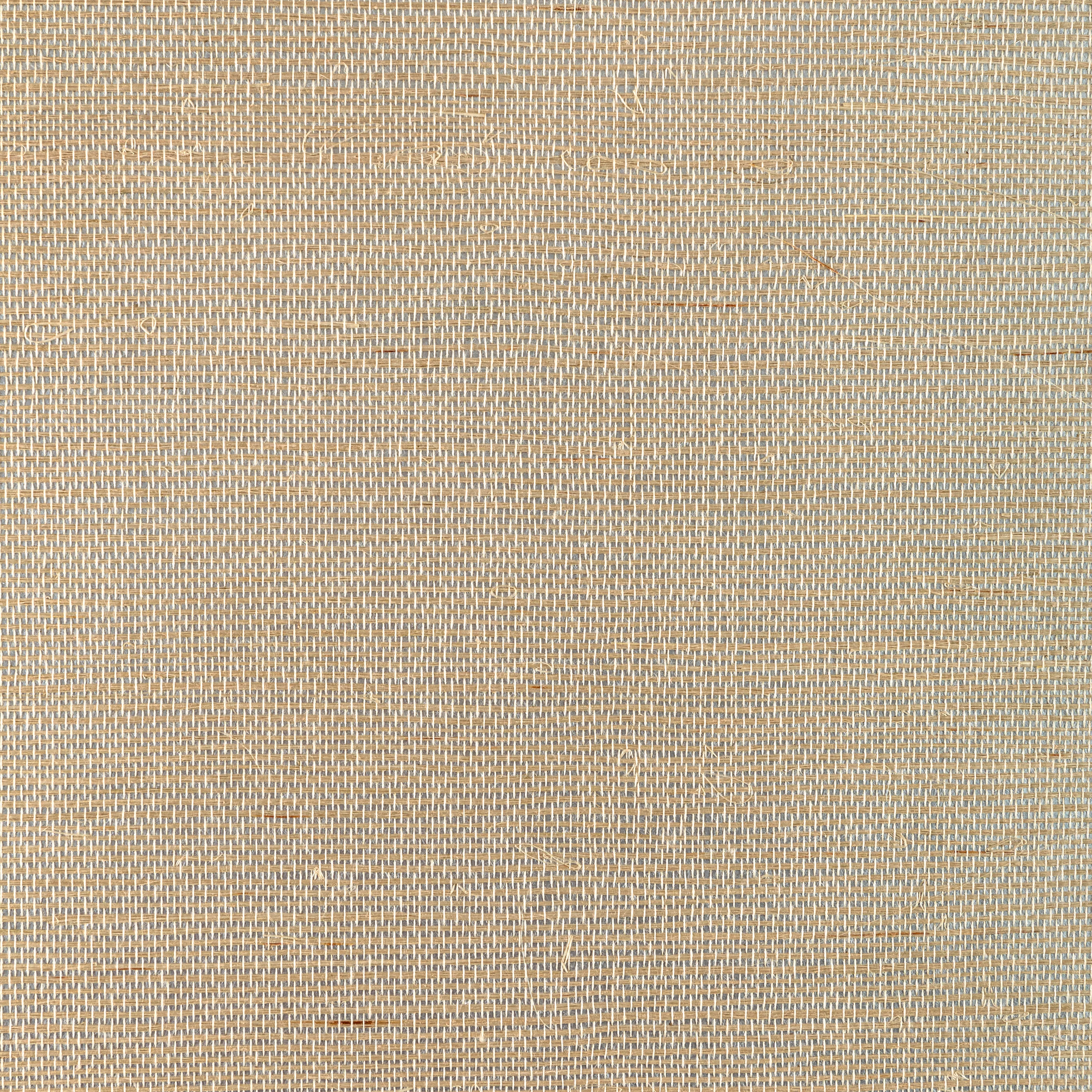 Kravet Couture Glam Sisal in Natural (W3846.106.0)