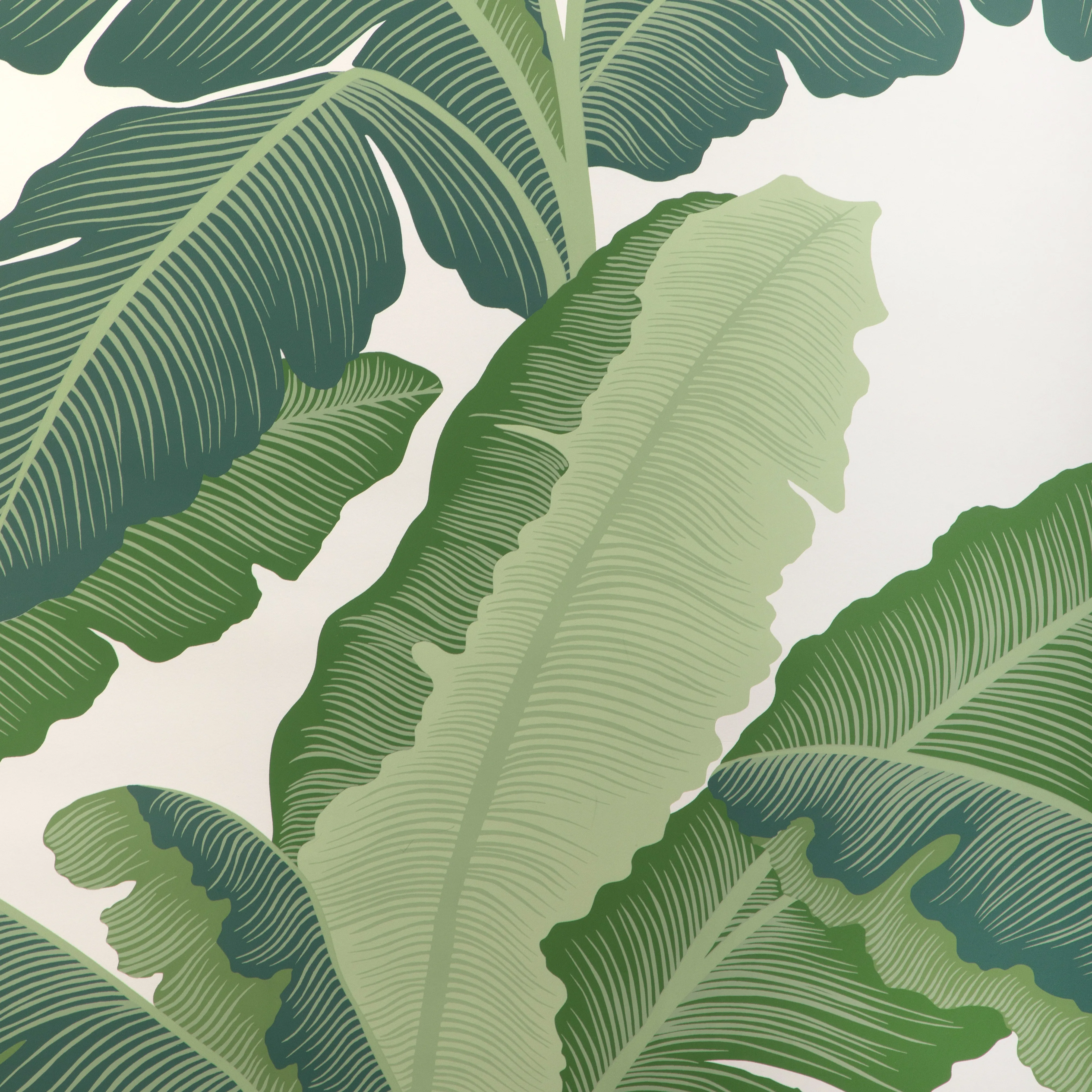Kravet Couture Isla Royal in Verde (W4151.33.0)