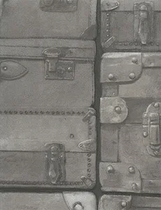 Kravet Couture Luggage in Gunmetal (AMW10008.21.0)