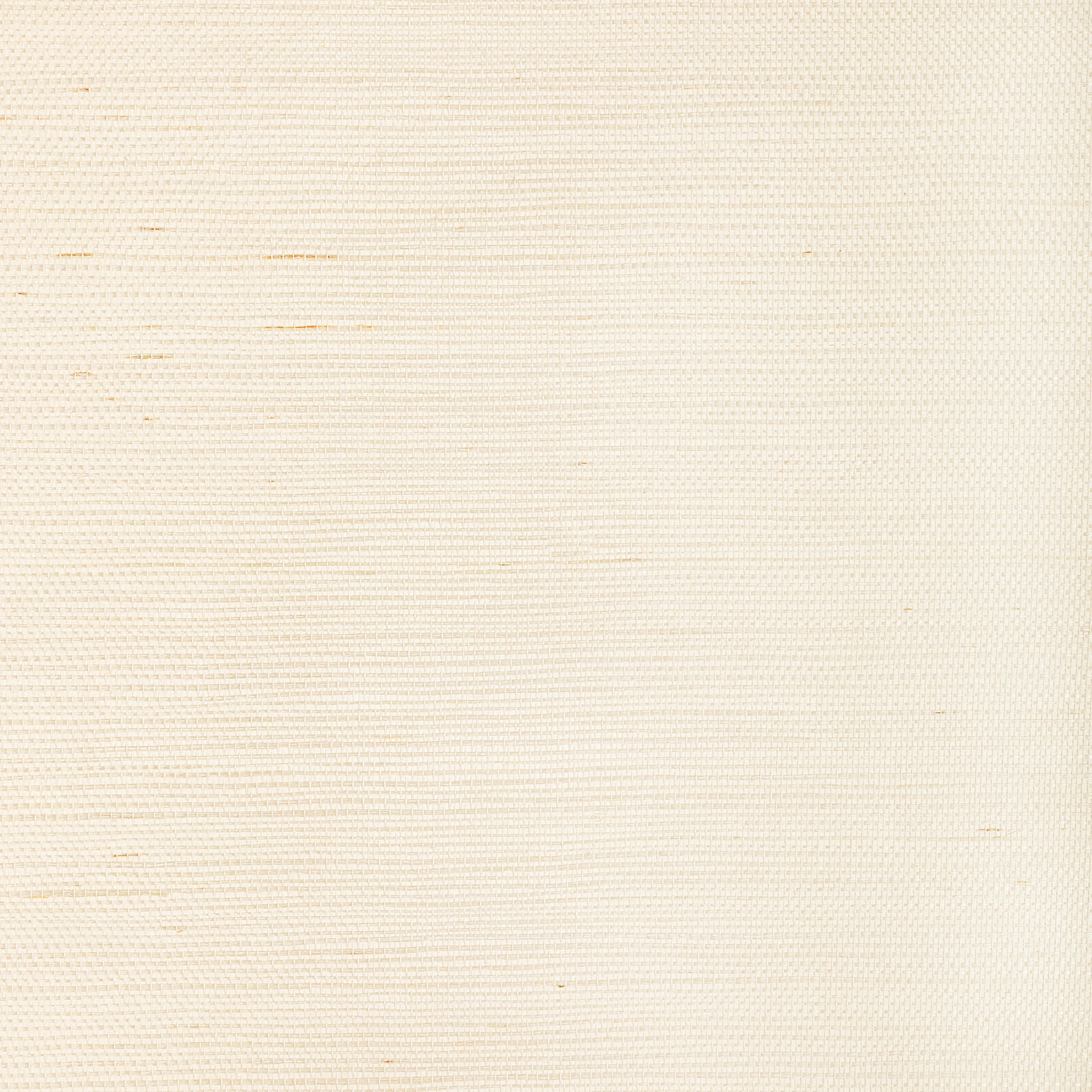 Kravet Couture Luxe Sisal in Bone (W3830.1.0)