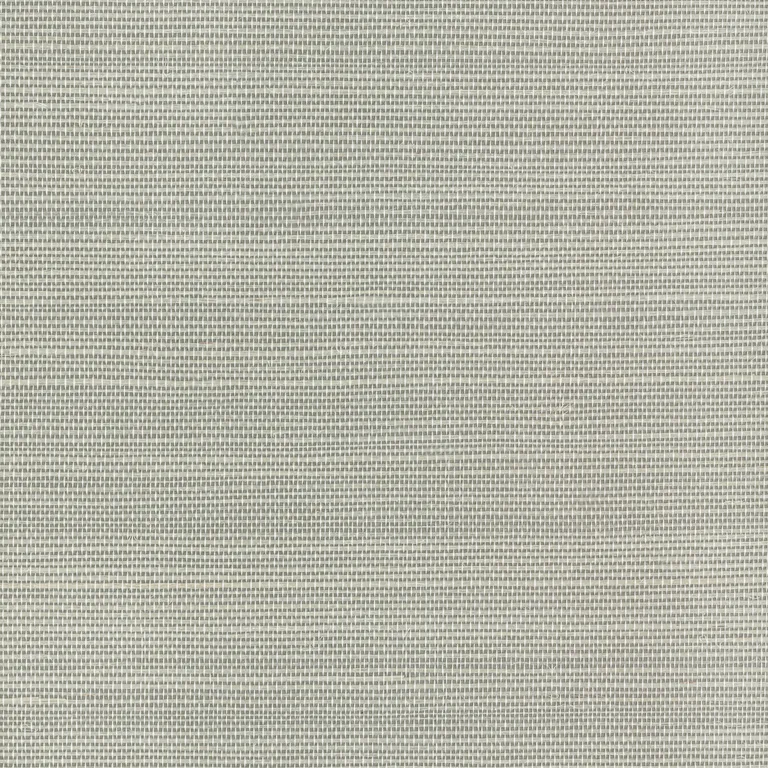 Kravet Couture Luxe Sisal in Grey (W3830.11.0)