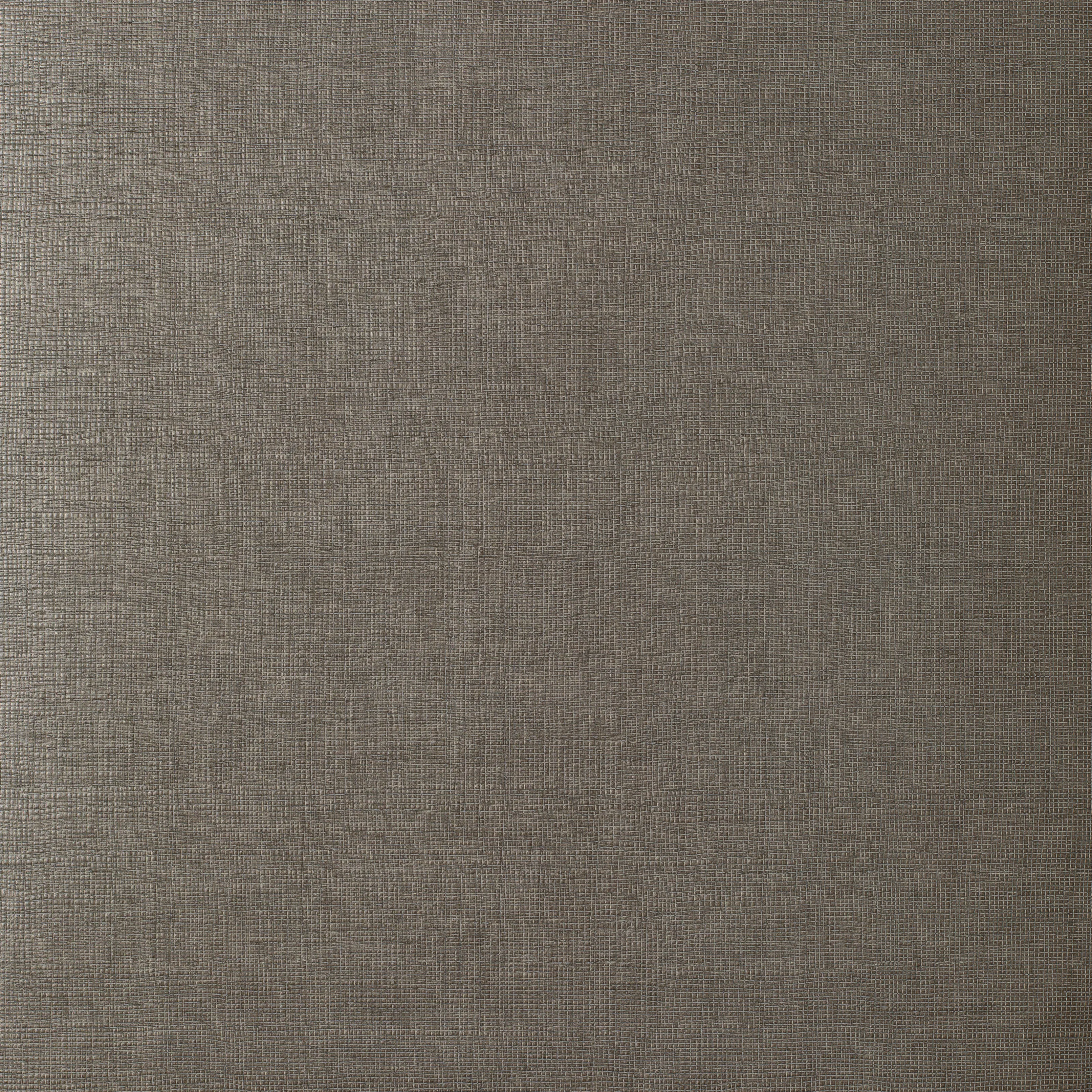 Kravet Couture Muse in Silt (W3576.106.0)