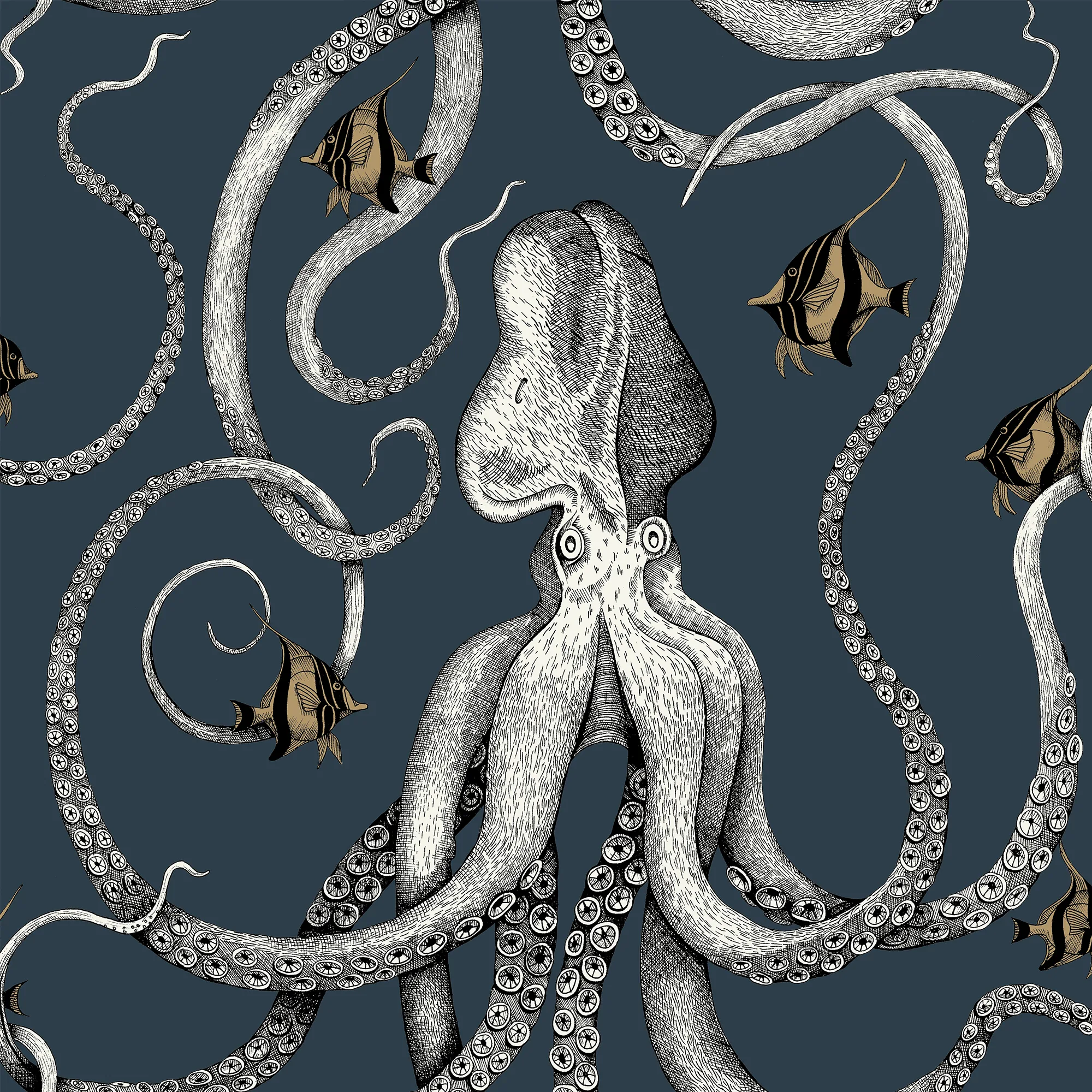 Kravet Couture Octopoda Grand in 01 (JMW1030.01.0)
