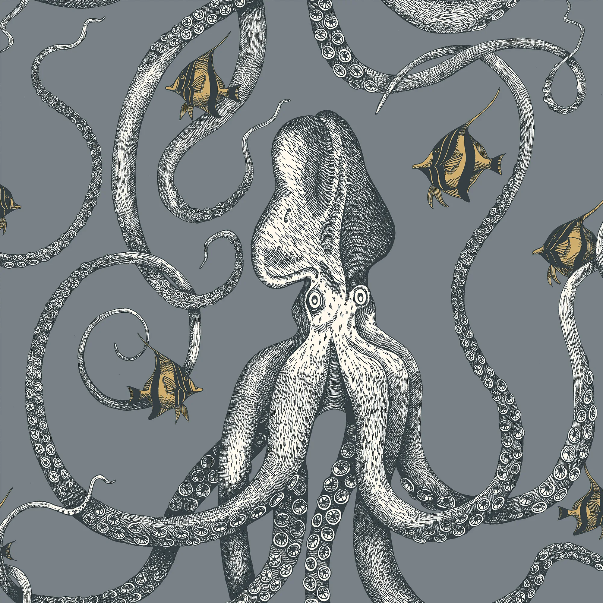 Kravet Couture Octopoda Grand in 11 (JMW1030.11.0)