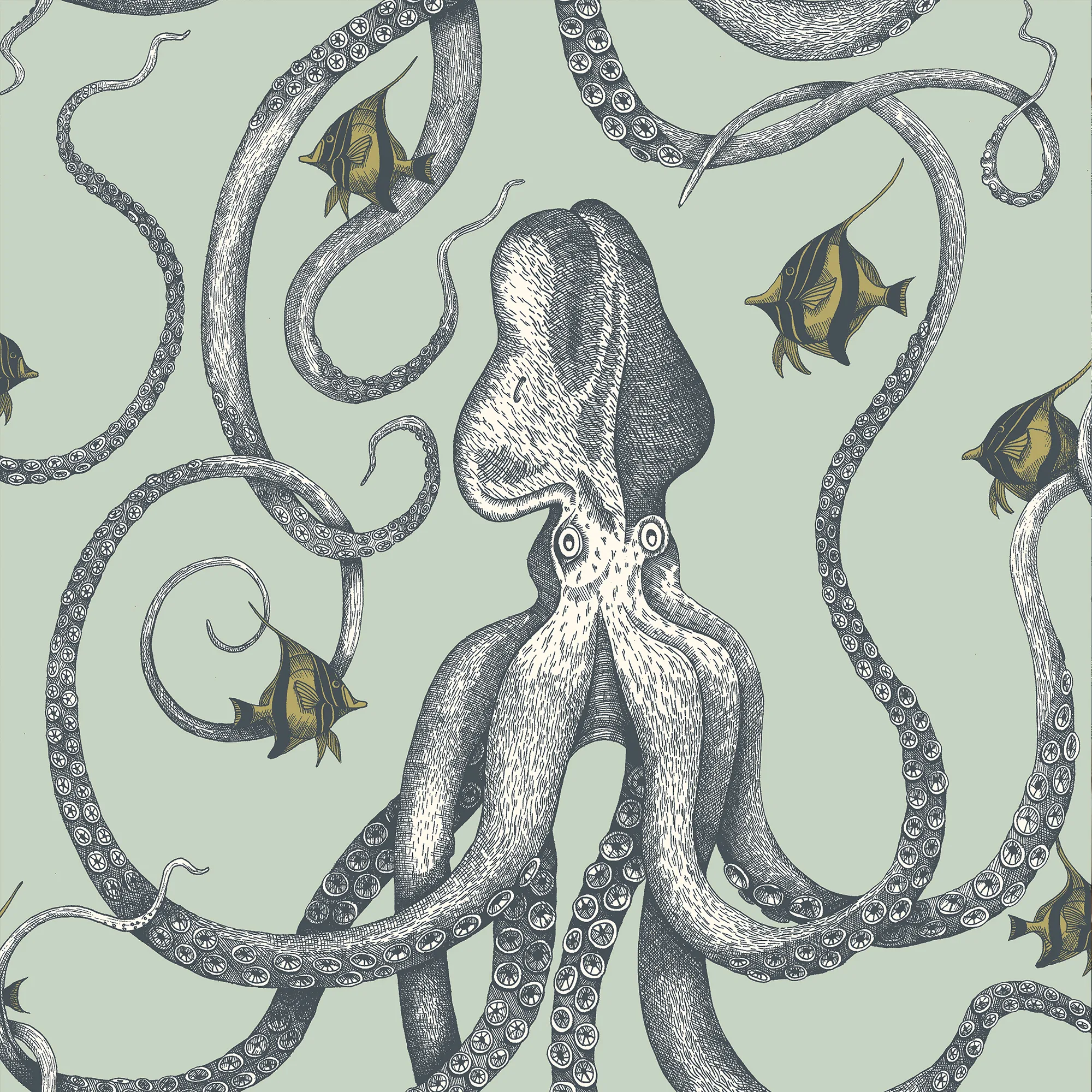 Kravet Couture Octopoda Grand in 21 (JMW1030.21.0)