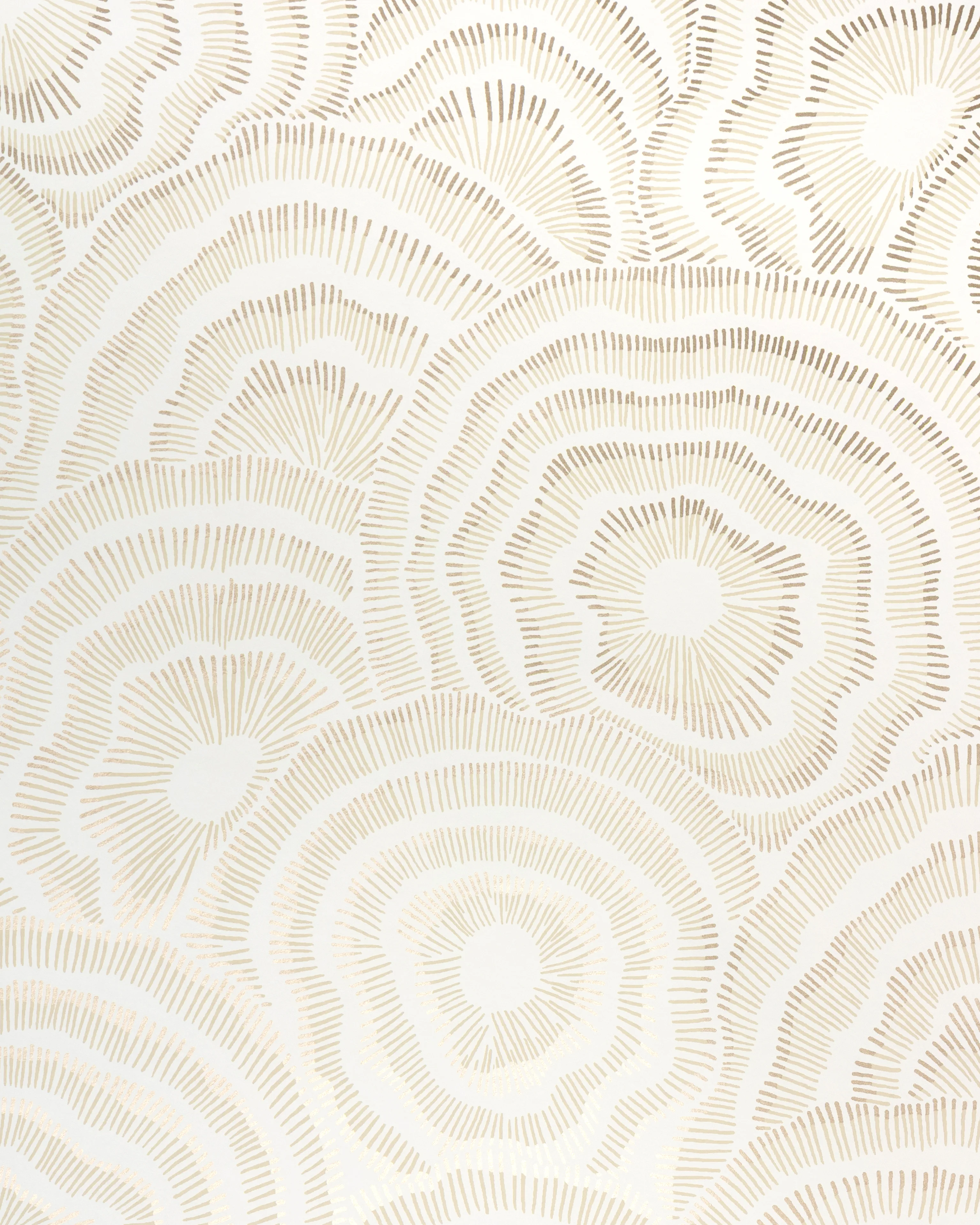 Kravet Couture Panache in Champagne (W3823.4.0)