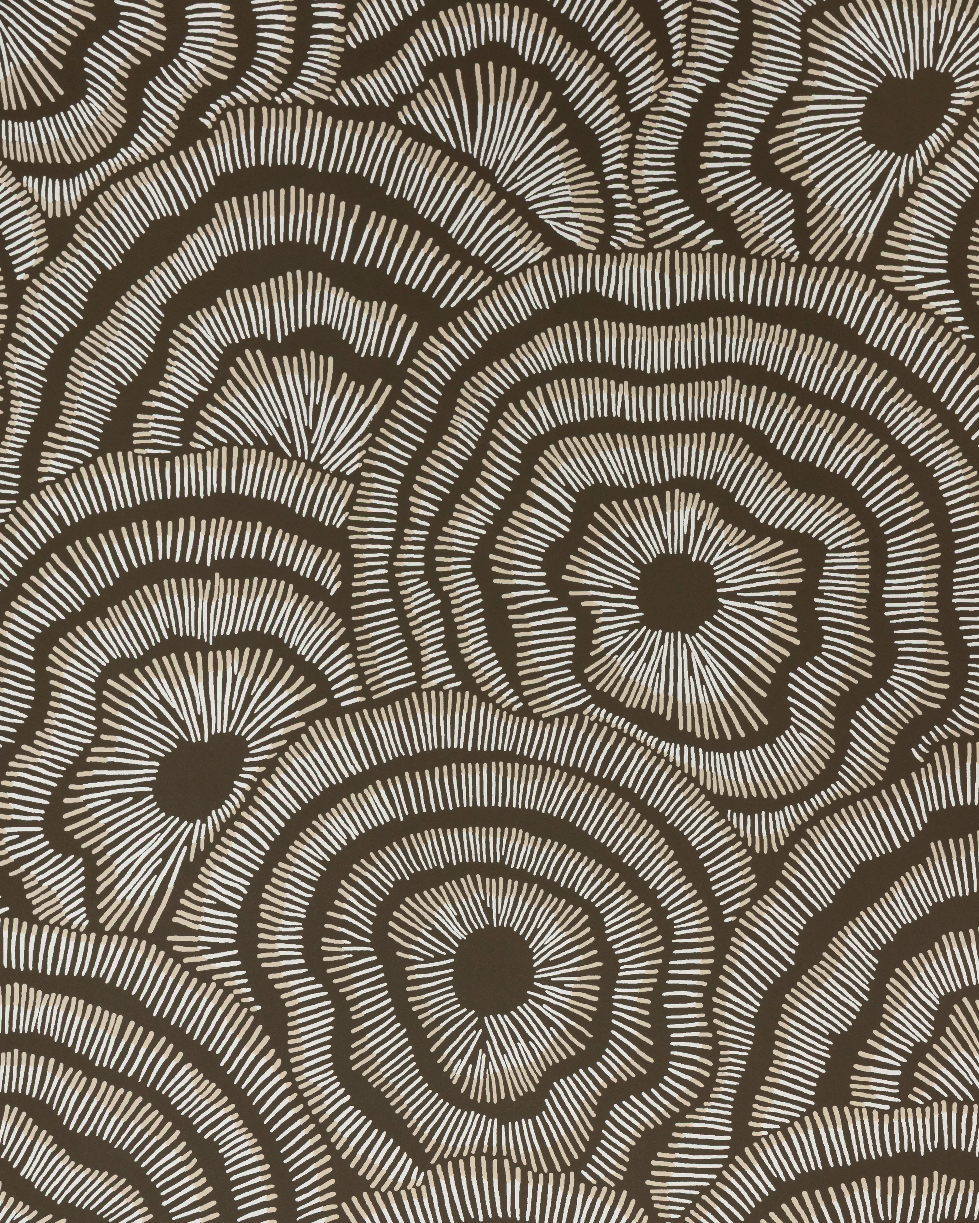 Kravet Couture Panache in Chocolate (W3823.6116.0)