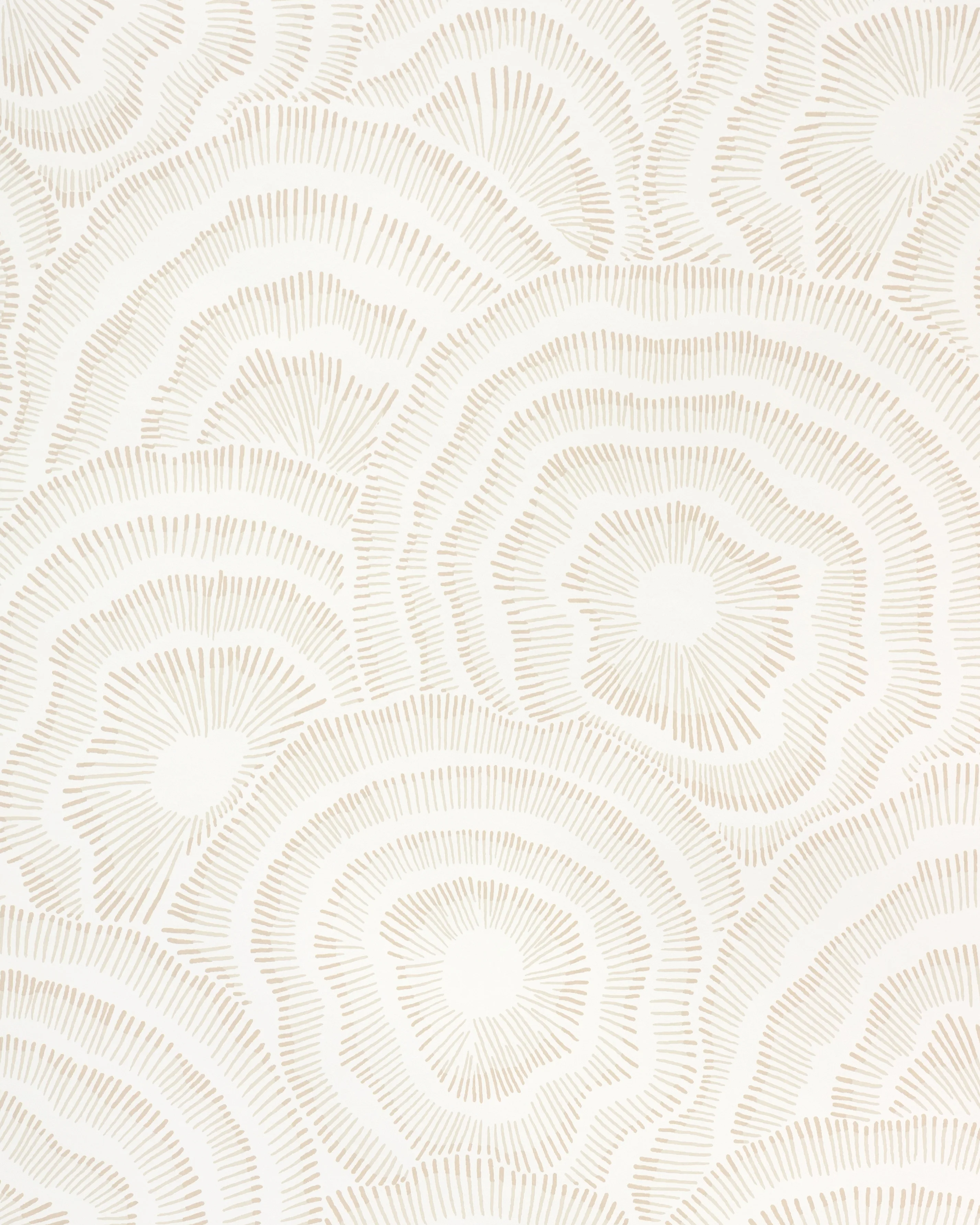Kravet Couture Panache in Natural (W3823.16.0)