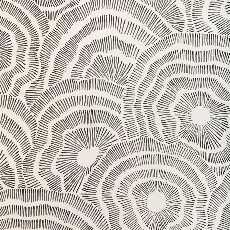 Kravet Couture Panache in Noir (W3823.81.0)