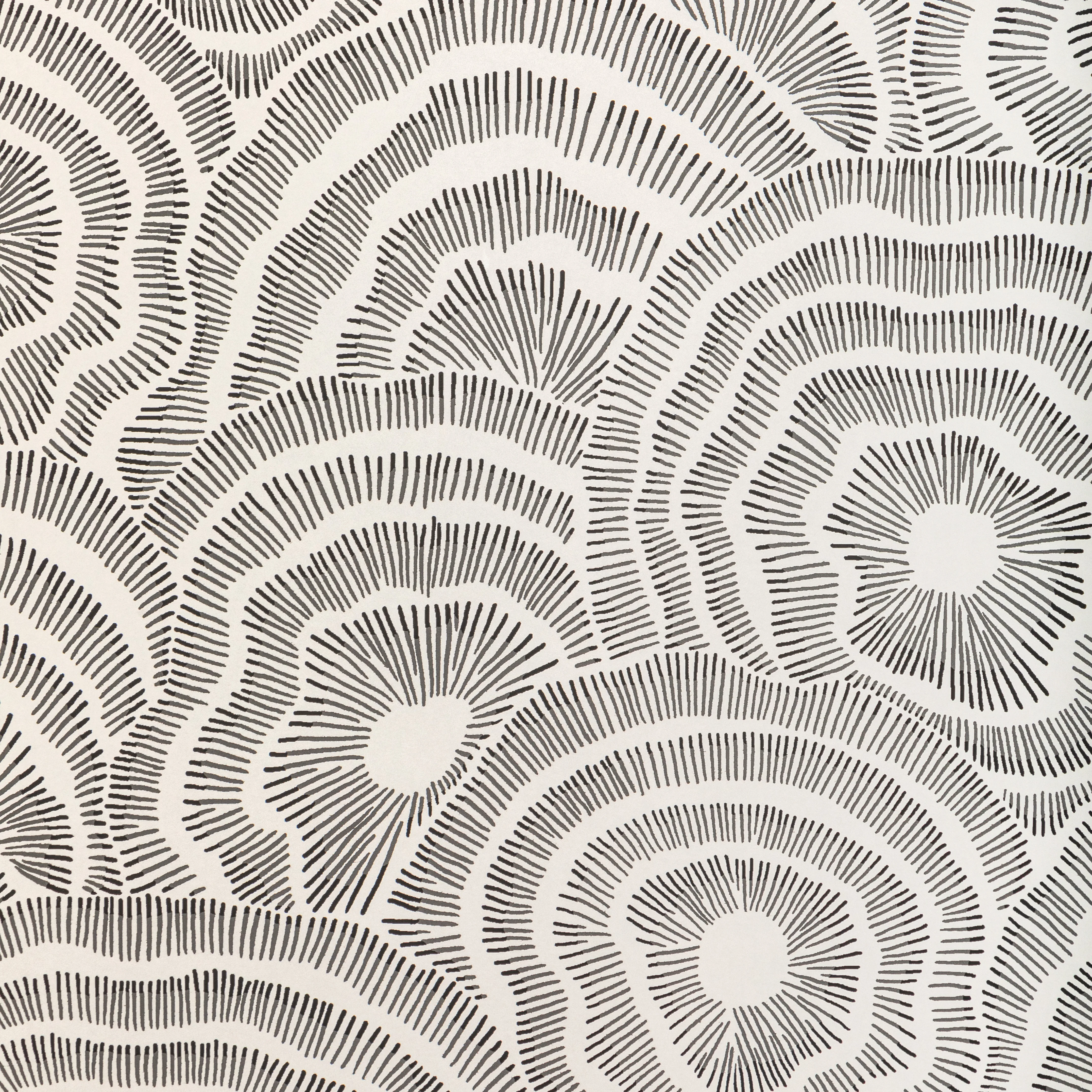 Kravet Couture Panache in Noir (W3823.81.0)