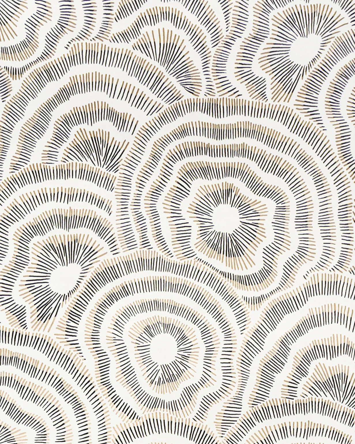 Kravet Couture Panache in Onyx (W3823.84.0)
