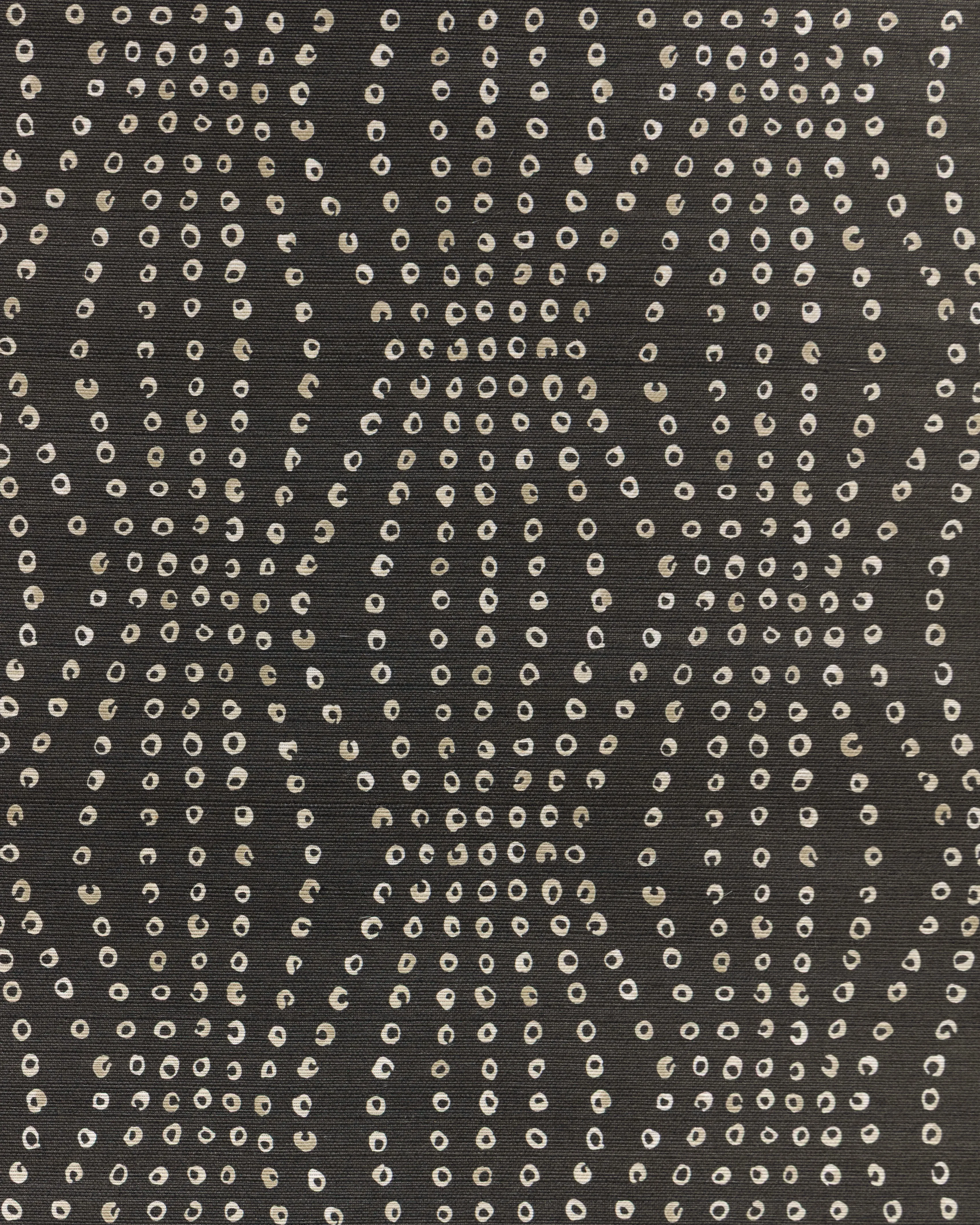 Kravet Couture Puka in Mink (W3572.8.0)