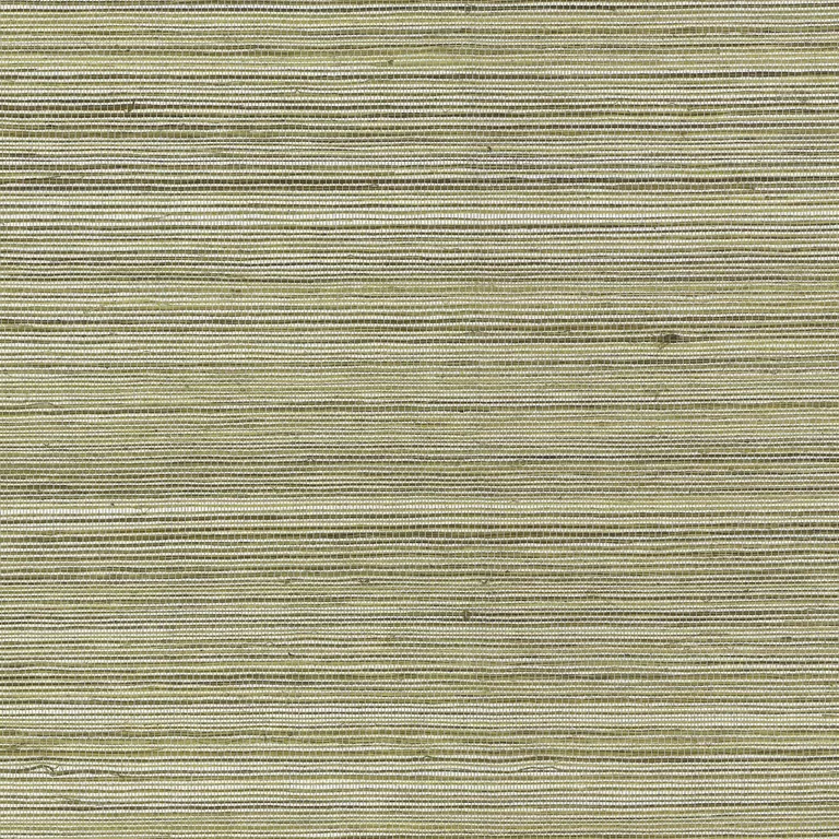 Kravet Couture Raffia in 4765 (W4356.61.0)