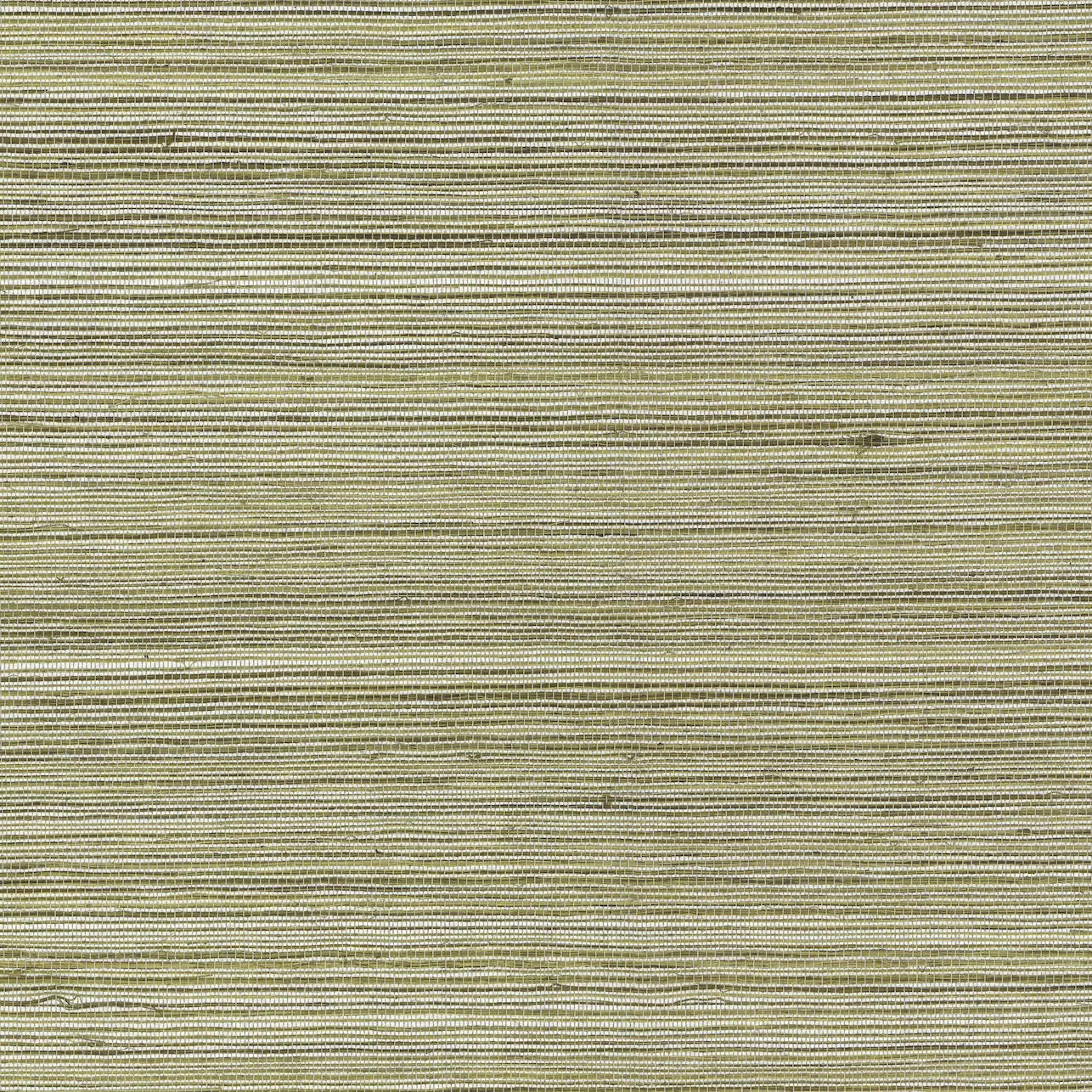 Kravet Couture Raffia in 4765 (W4356.61.0)