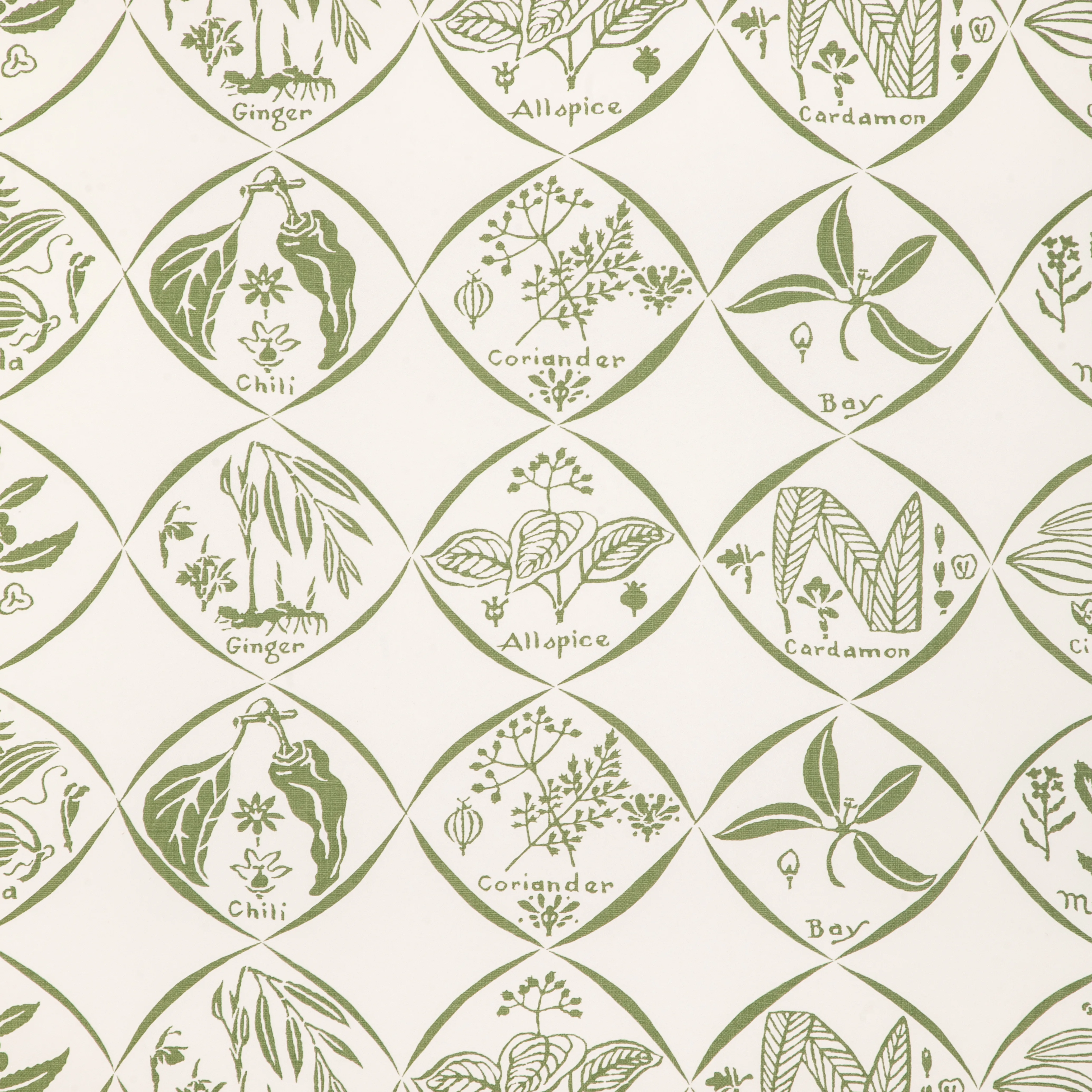 Kravet Couture Spices in Cactus (W4262.30.0)