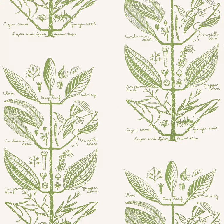 Kravet Couture Sugar and Spice in Cactus (W4263.30.0)