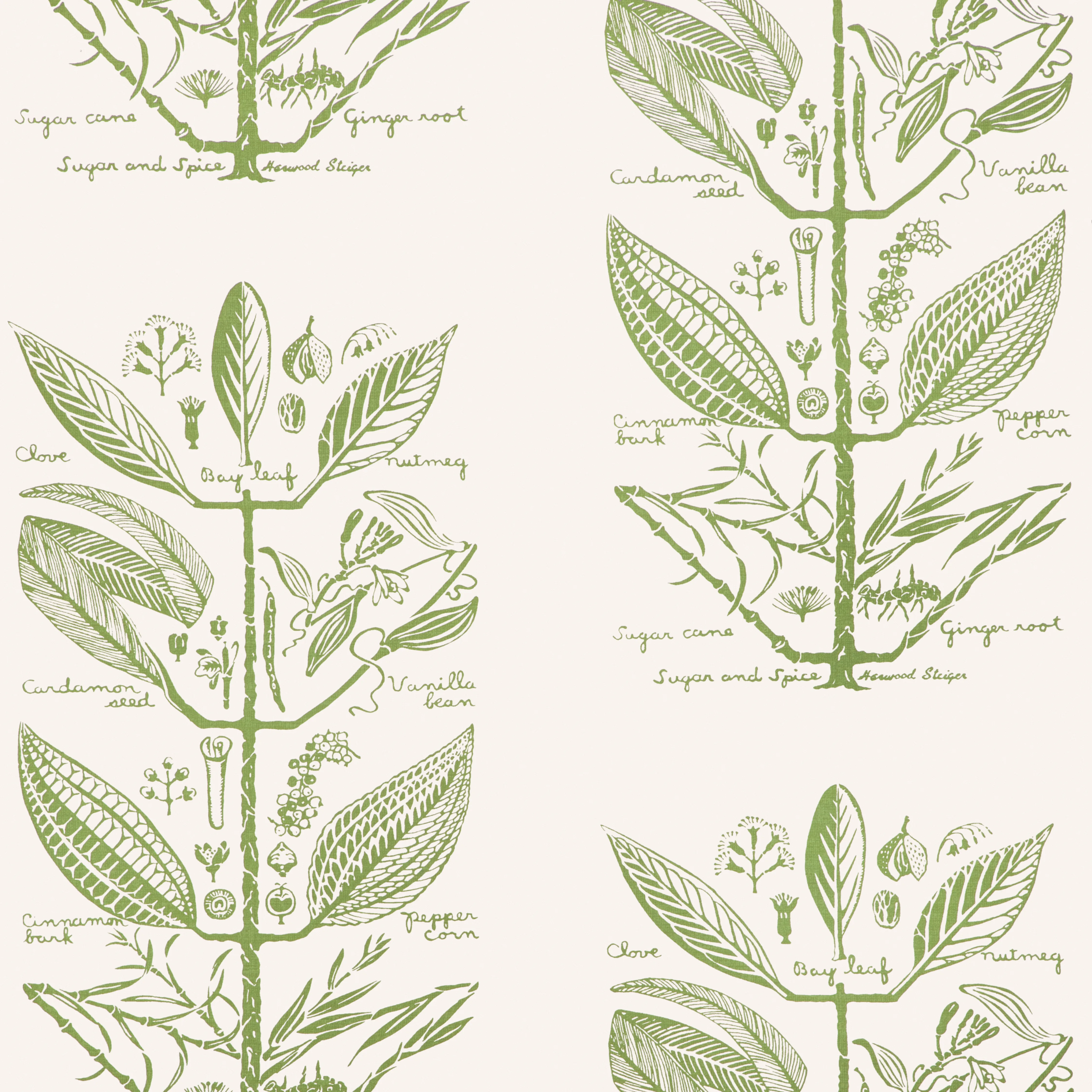 Kravet Couture Sugar and Spice in Cactus (W4263.30.0)
