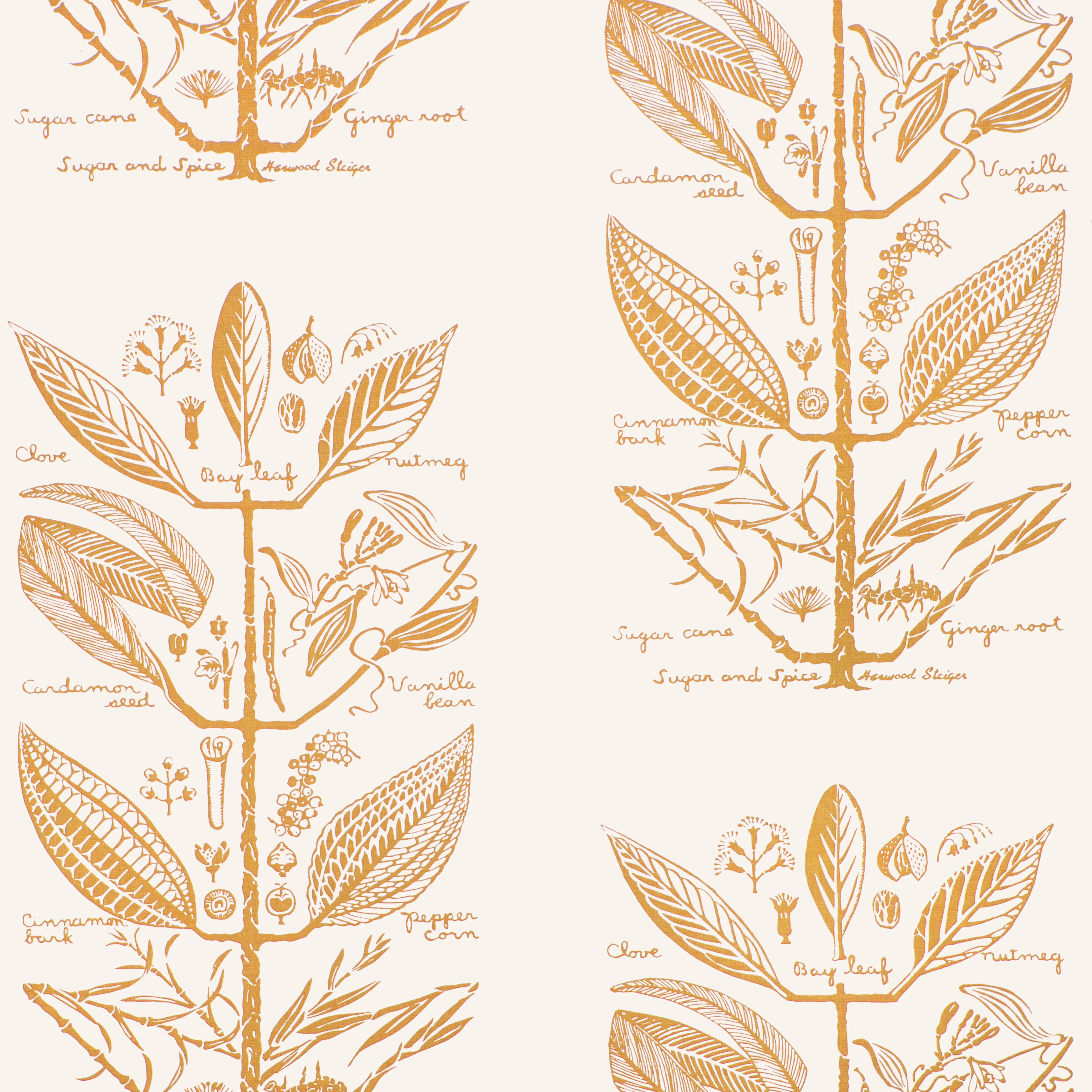 Kravet Couture Sugar and Spice in Gold (W4263.404.0)