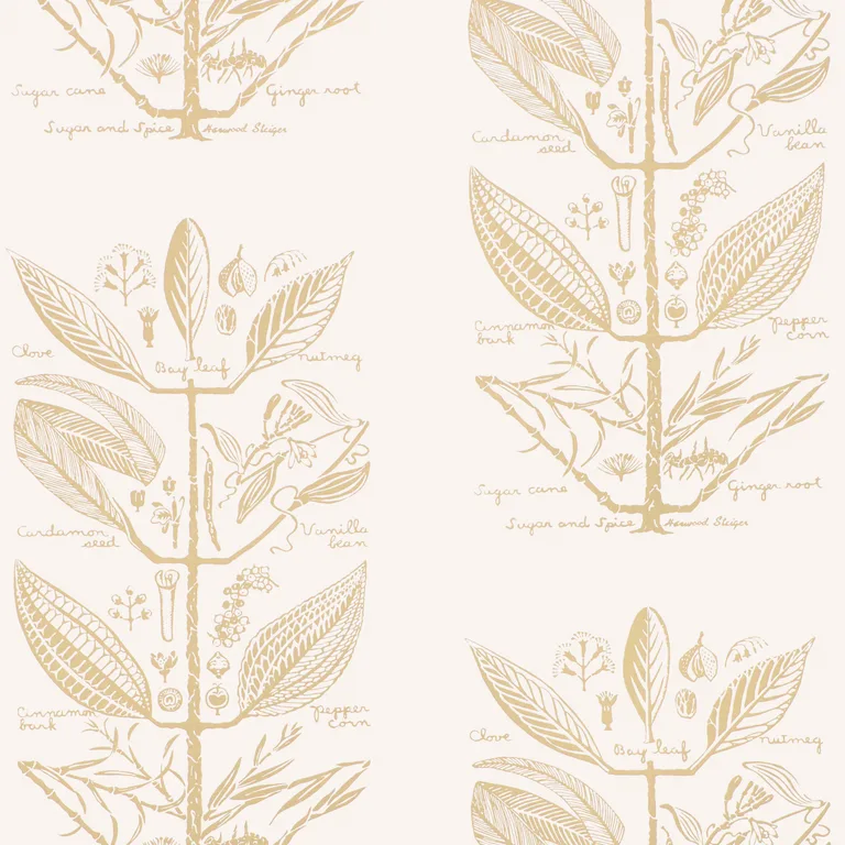 Kravet Couture Sugar and Spice in Sand (W4263.16.0)