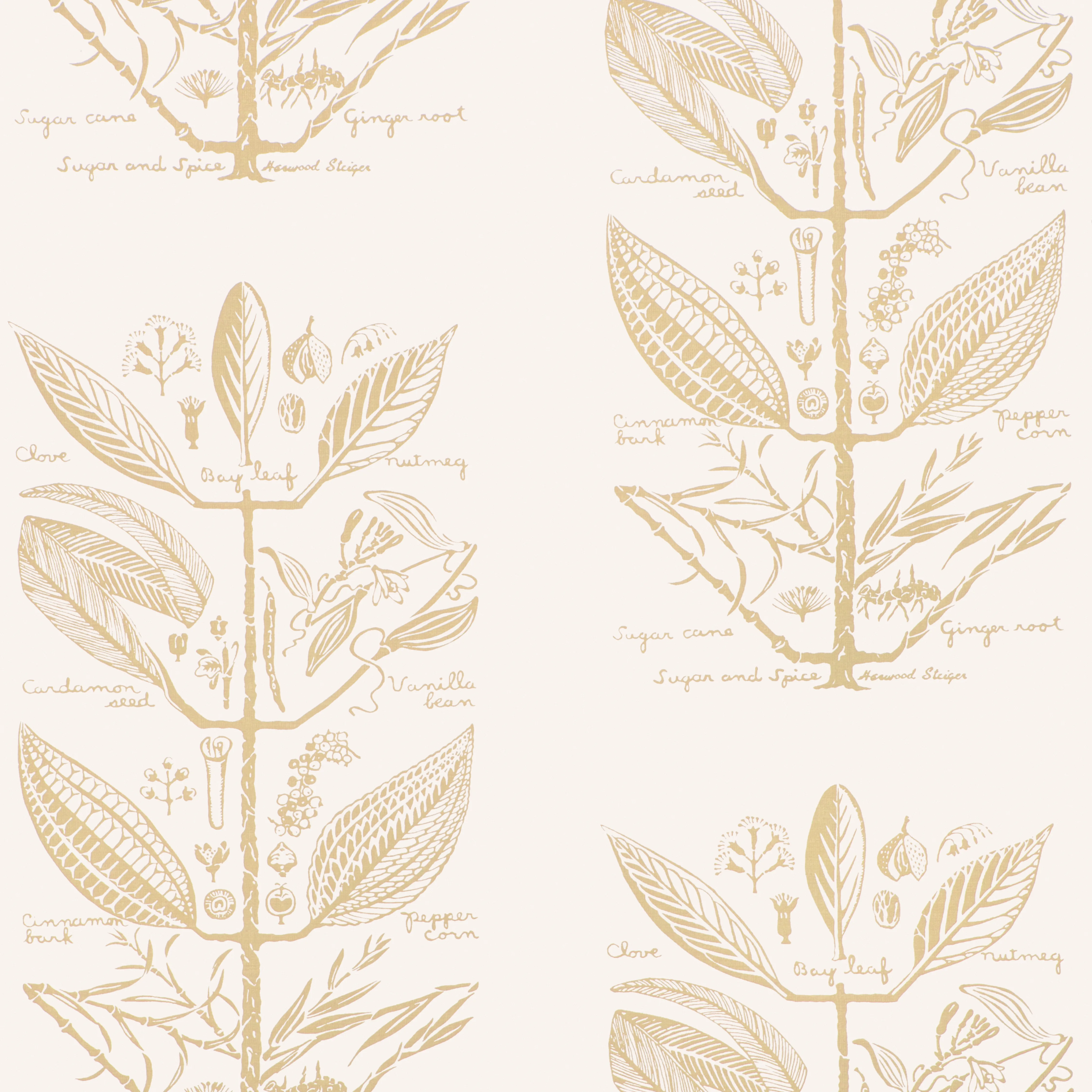 Kravet Couture Sugar and Spice in Sand (W4263.16.0)