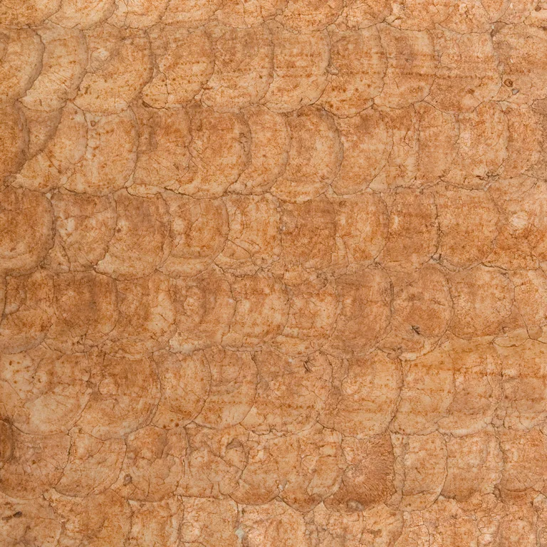 Kravet Couture W3198 in Orange & Brown (W3198.24.0)